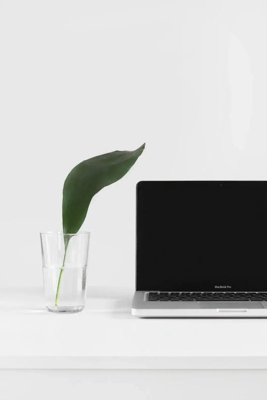 Designing an Effective Online Store: Best Practices for Success - BPlanMaker