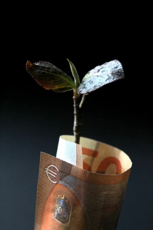 Unlock Profitability: Mastering Pricing Strategies for Your Shopify Products - BPlanMaker