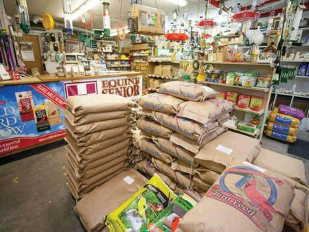 {{ product_title }} - Professional Business Plan Writing Services | BPlanMaker