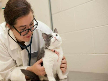 {{ product_title }} - Professional Business Plan Writing Services | BPlanMaker