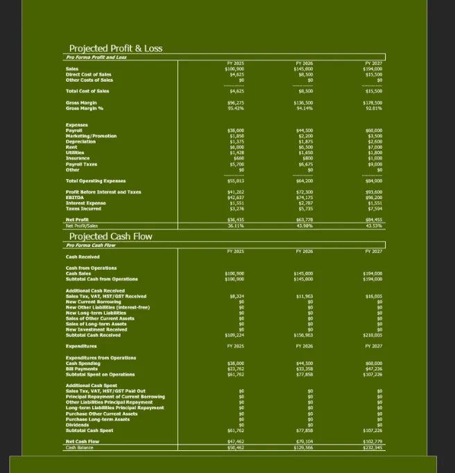 BPlanMaker 3-year financial forecast sample with startup expenses, cash flow, and revenue projections